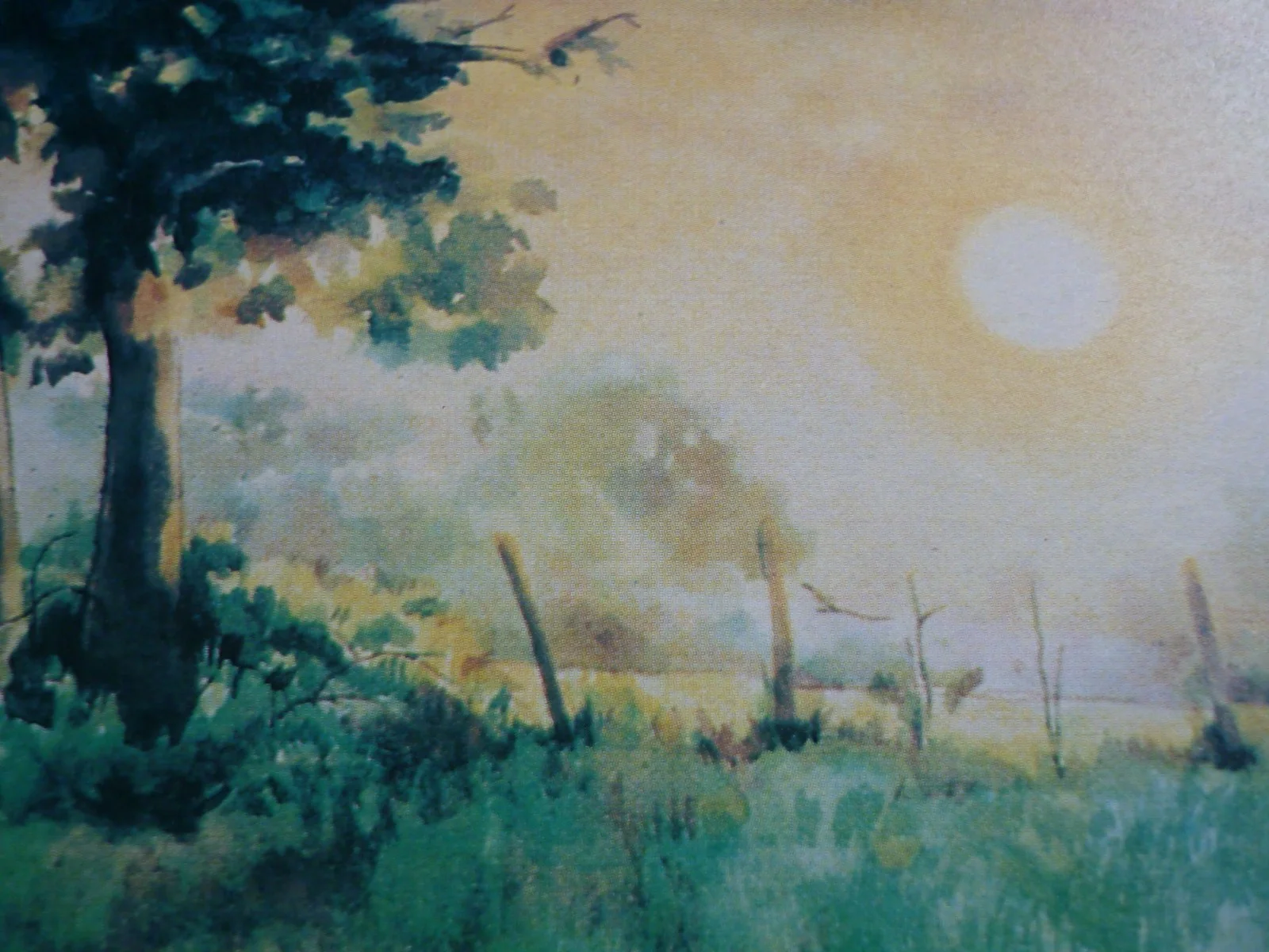 Watership Down framed a4 Richard Adams 1978 Movie sandleford sunset story begins, изображение 2