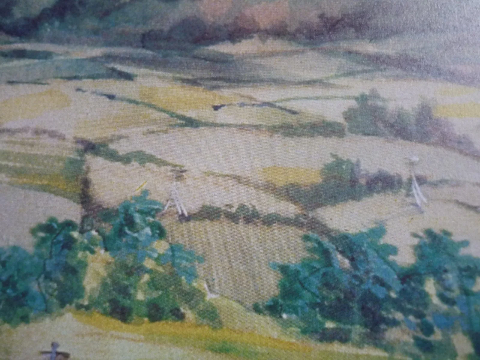 Watership Down framed a4 Richard Adams 1978 Movie scenes sandleford warren, image 2