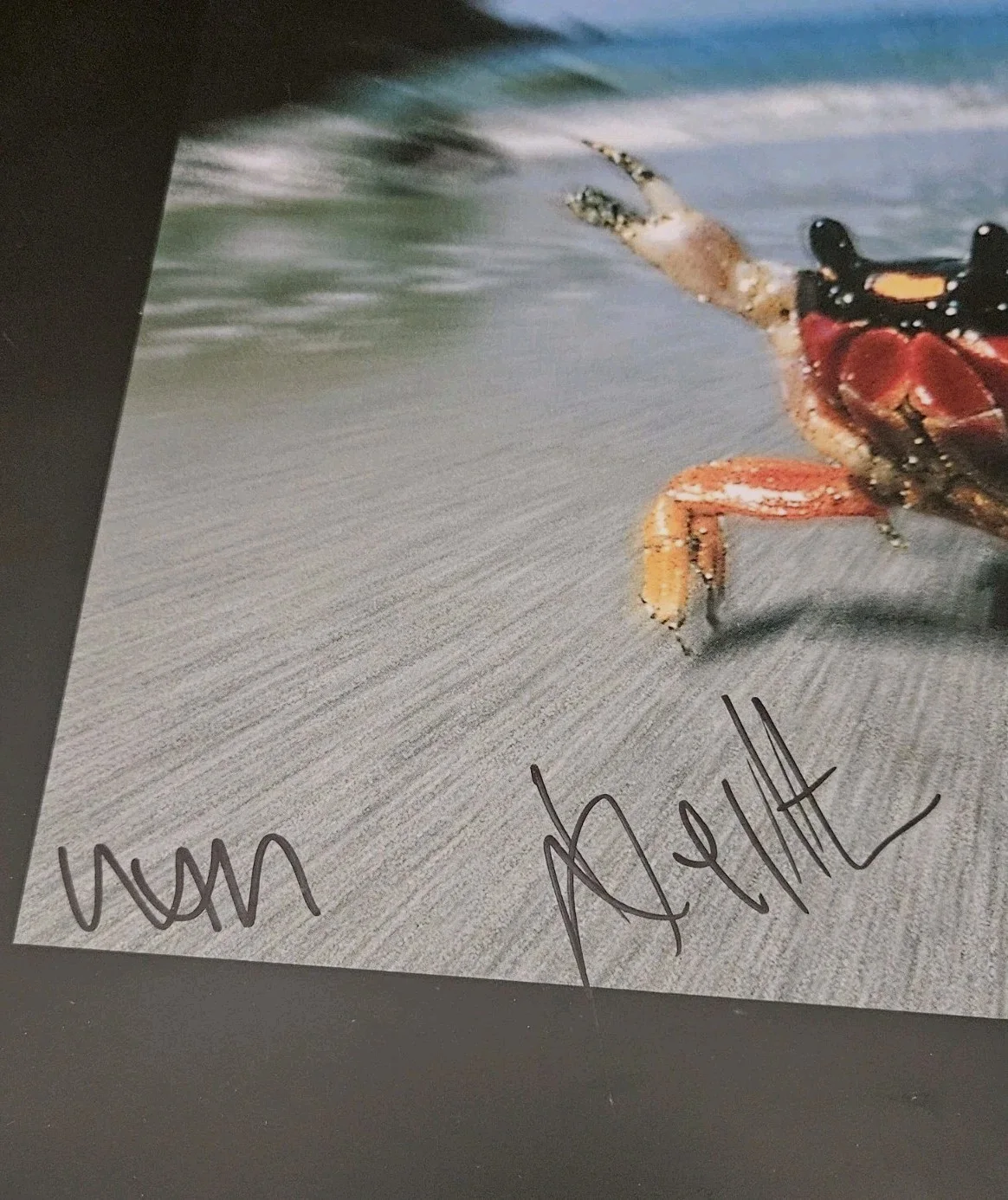 The Prodigy Signed All 3 Large Poster Fat Of The Land Keith RIP Liam Maxi RARE!, изображение 3