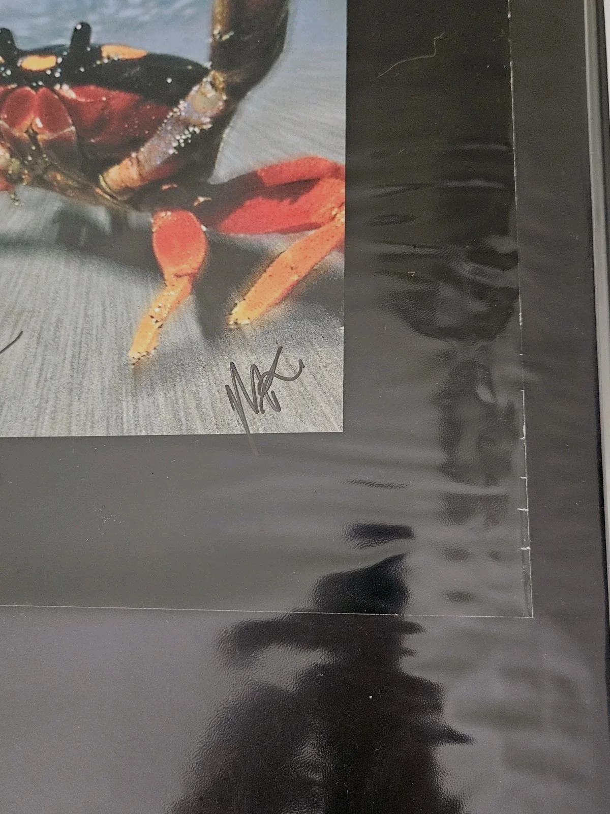 The Prodigy Signed All 3 Large Poster Fat Of The Land Keith RIP Liam Maxi RARE!, изображение 4