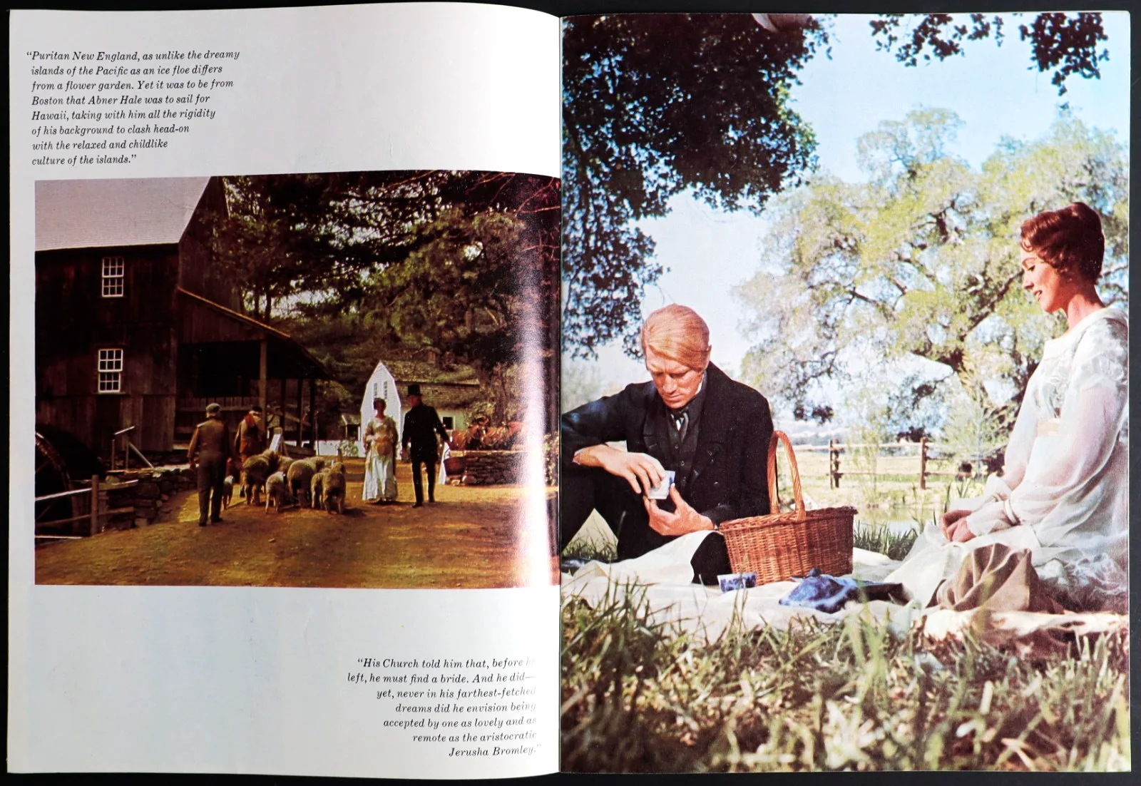 Hawaii ORIGINAL Movie Brochure Julie Andrews Max von Sydow Richard Harris 1966, изображение 3