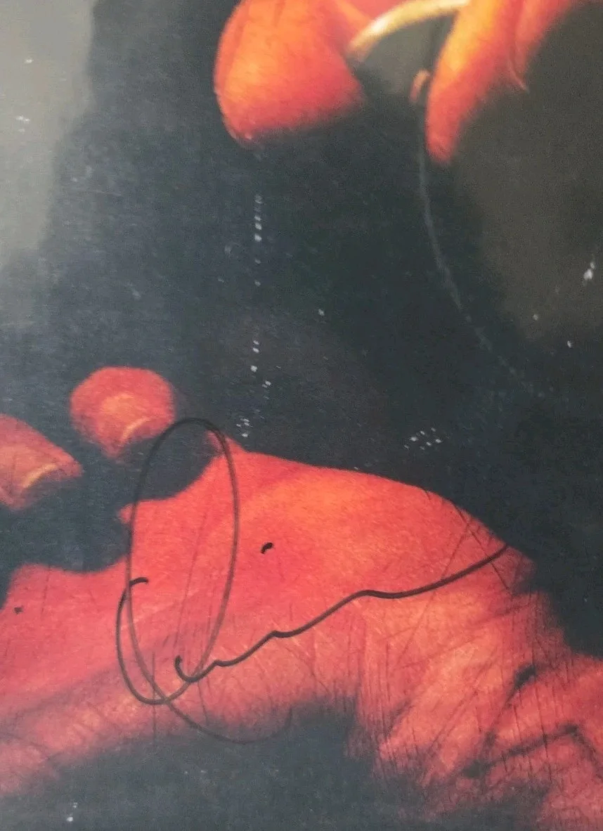The USED Band Signed Bert McCracken And Quinn ARTWORK Vinyl Record RACC Bought, изображение 4