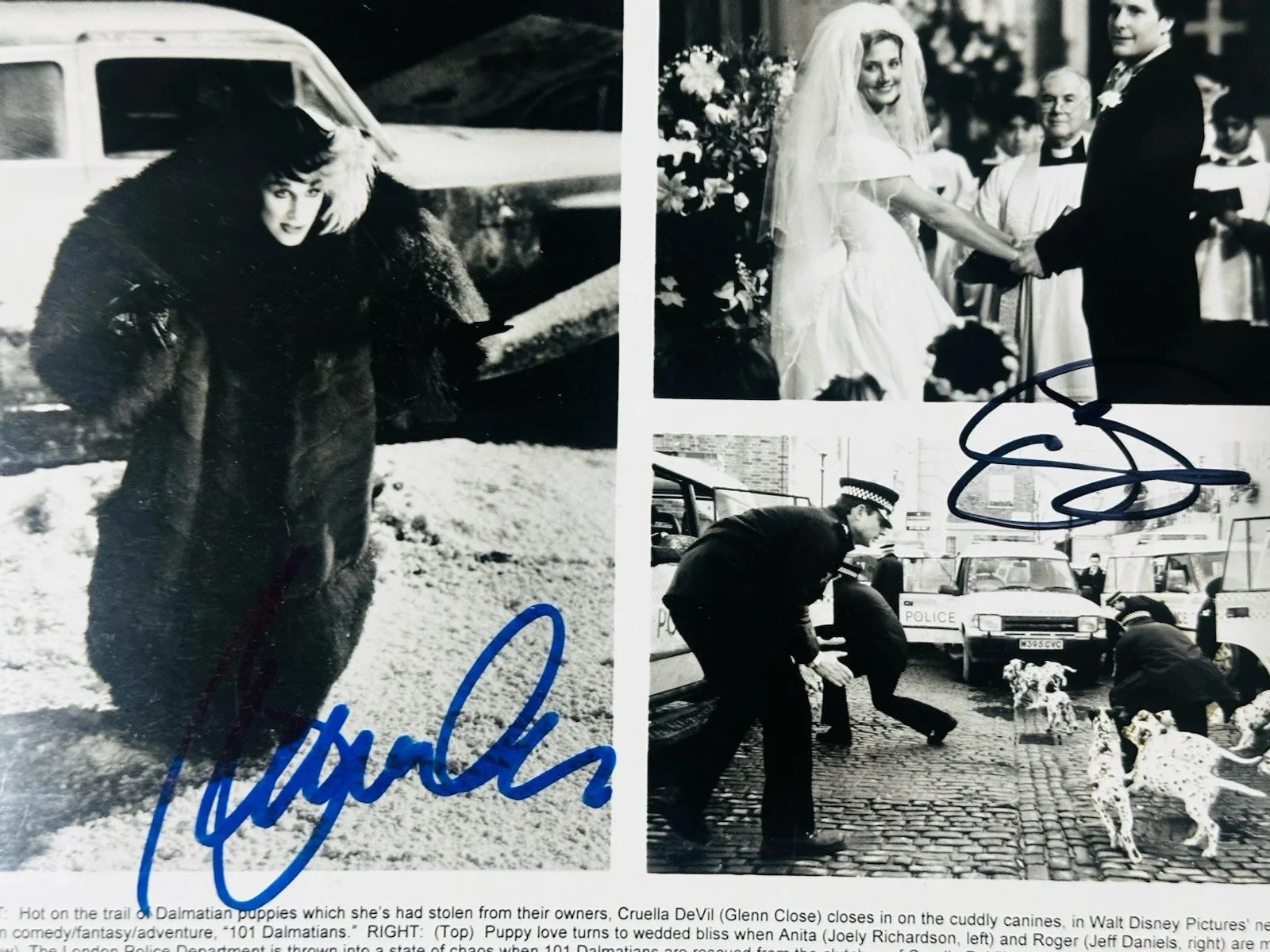 Glenn Close, Jeff Daniels — Glenn Close & Jeff Daniels signed 101 Dalmatians Cruella 8x10 Original photo., изображение 2