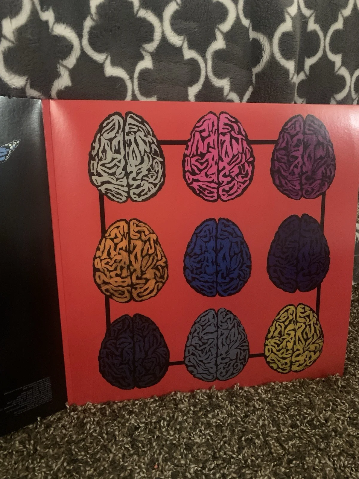 Autographed Album By The Intervals Circadian, изображение 4