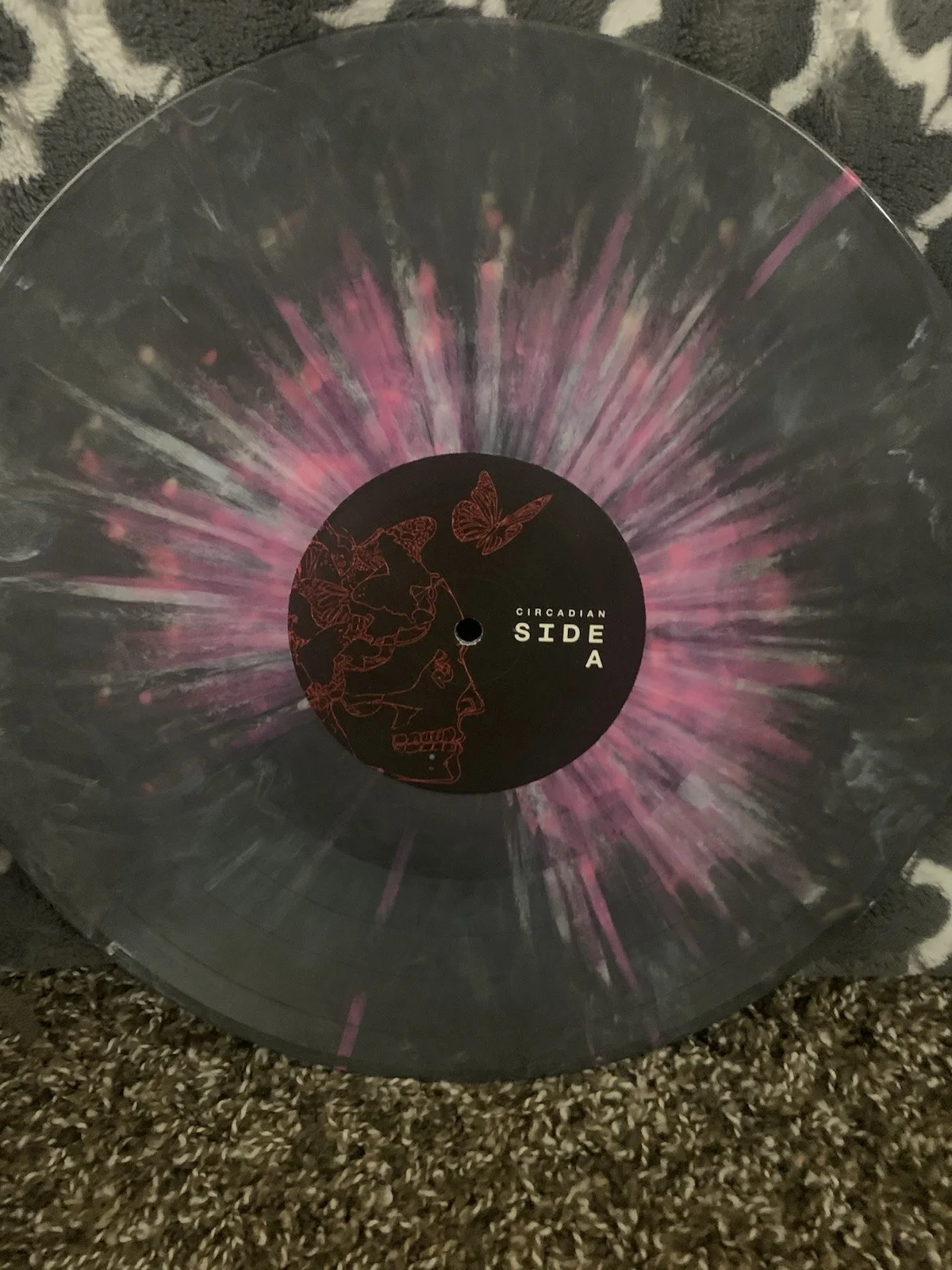 Autographed Album By The Intervals Circadian, изображение 5