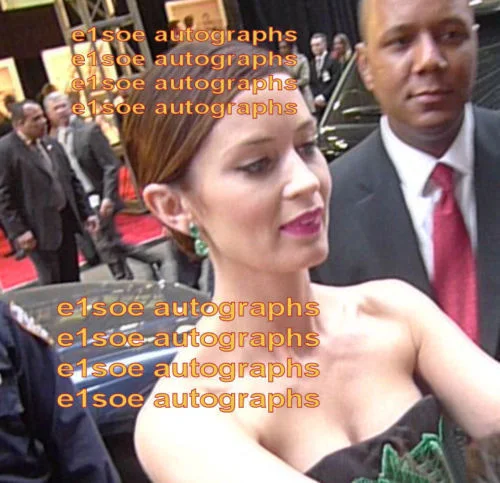 Jason Segel, Emily Blunt — Jason Segel & Emily Blunt signed Five Year Engagement 8x10 photo IP- Proof, image 4