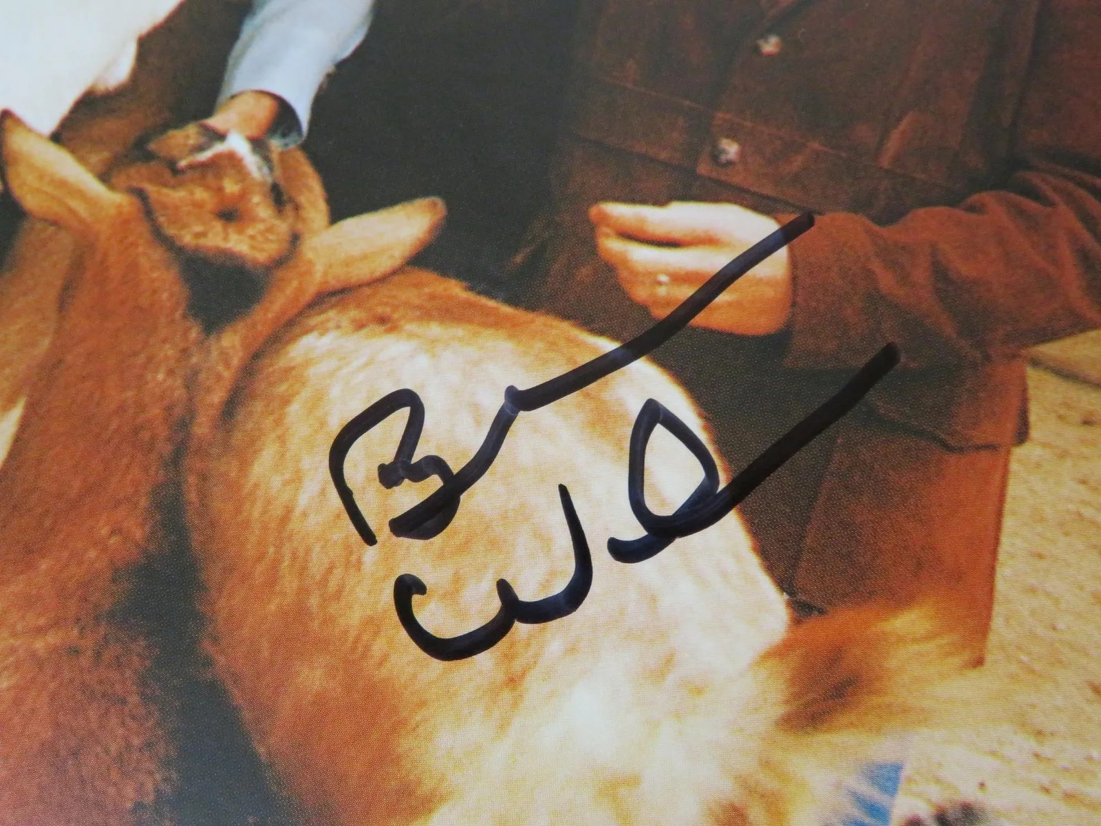 Brian Wilson THE BEACH BOYS Signed Autograph "Pet Sounds" Album LP by 4 JSA BAS, image 4
