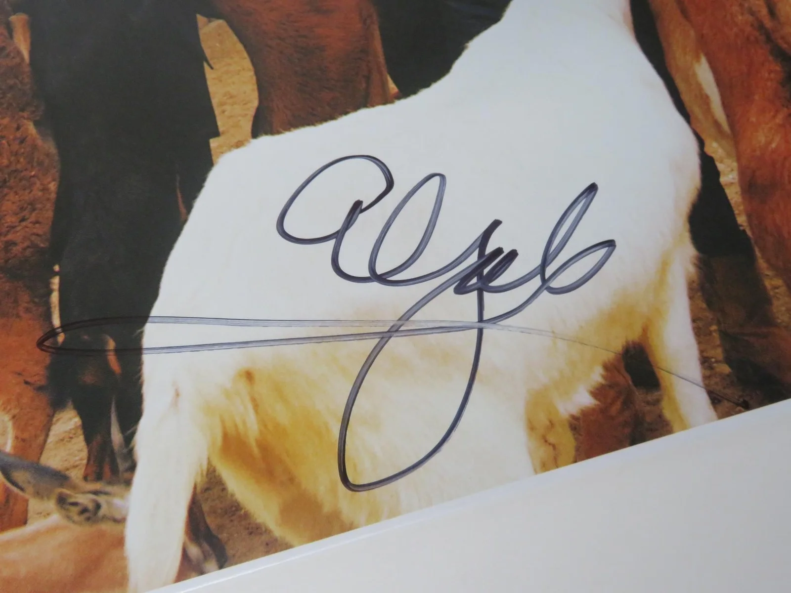 Brian Wilson THE BEACH BOYS Signed Autograph "Pet Sounds" Album LP by 4 JSA BAS, image 5