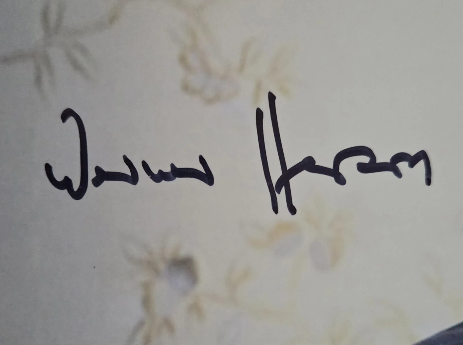 Werner Herzog Hand Signed Autograph 8x10 Photo Cobra Verde Grizzly Man Director, изображение 2