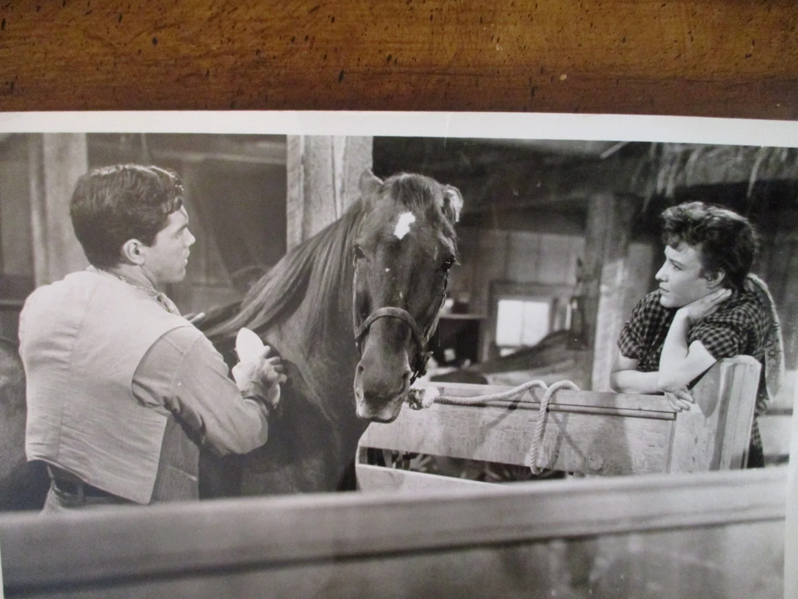 Janice Rule/Jeffrey Hunter(GUN FOR A COWARD)1955 10 x 8 Black/White Press Photo, изображение 2