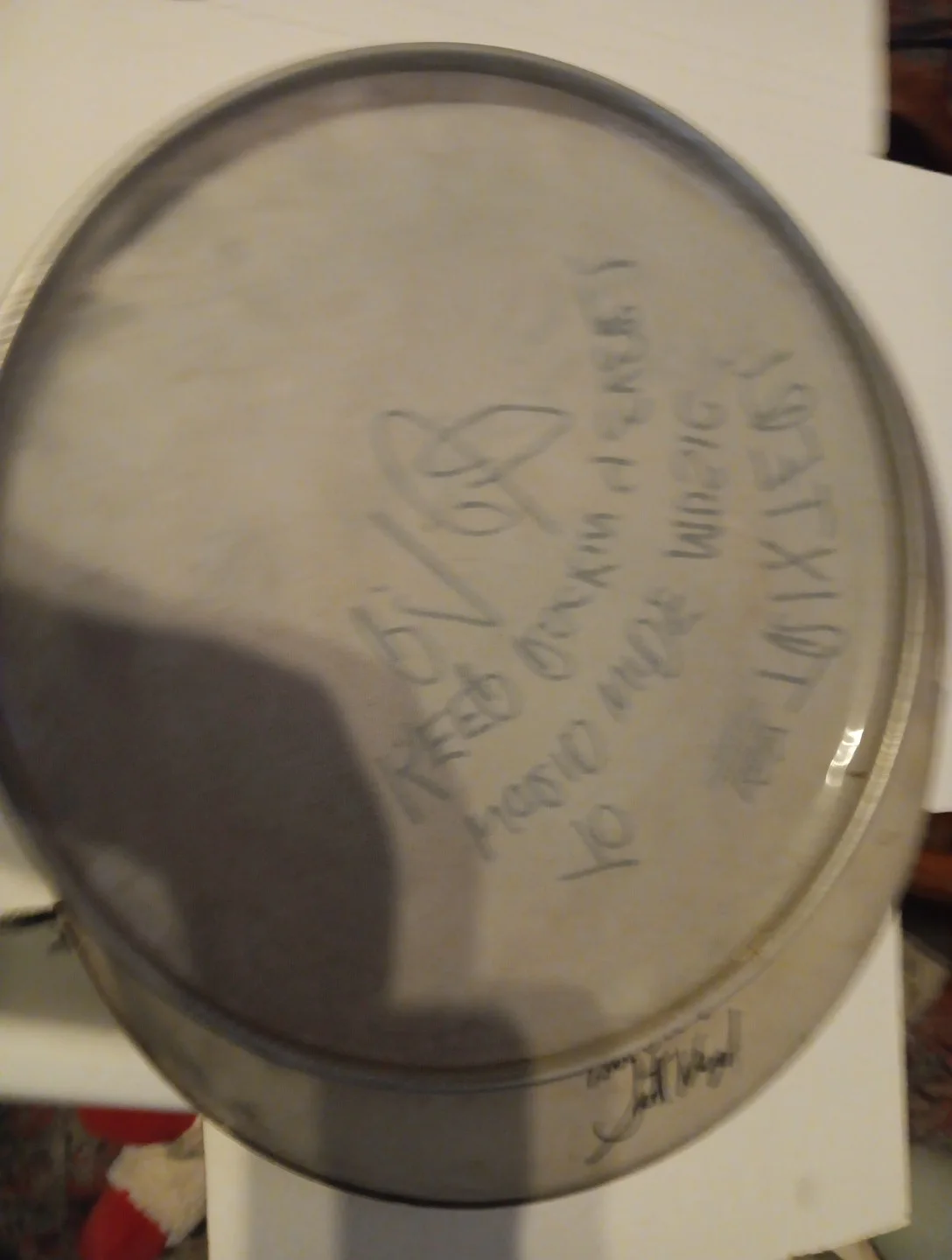 Trixter 1980s Hair Metal P.J. Farley Signed Autographed Drumhead, image 5