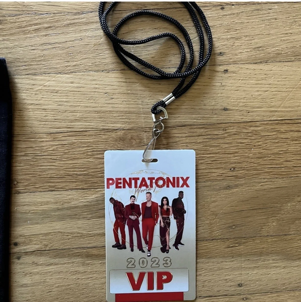 Pentatonix World Tour 2023 tote bag with lanyard, autographs, and VIP pass, изображение 4