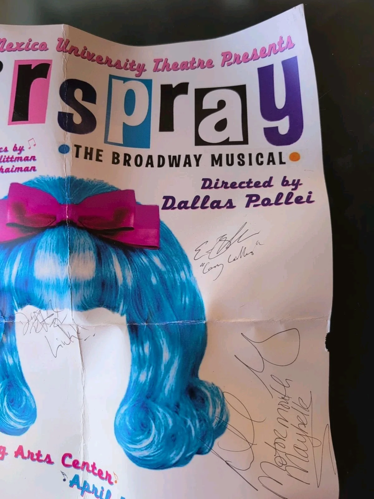Cast — HAIRSPRAY Broadway Cast SIGNED / AUTOGRAPHED Poster, Broadway Musical 14x22, изображение 5