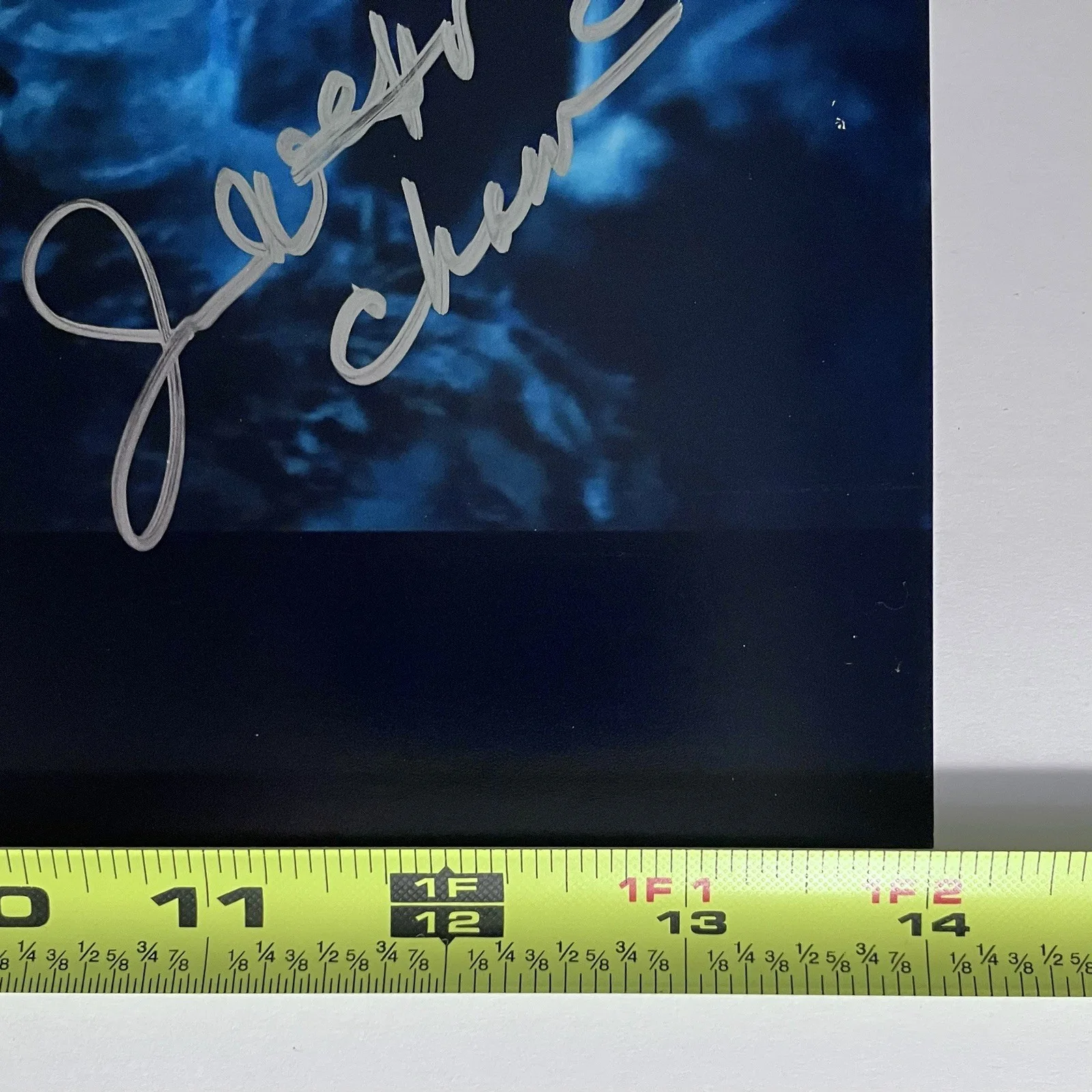 James Hong — BLADE RUNNER Signed 11x14 Photo / JAMES HONG as Chew / JSA Cert. / KUNG FU PANDA, image 5