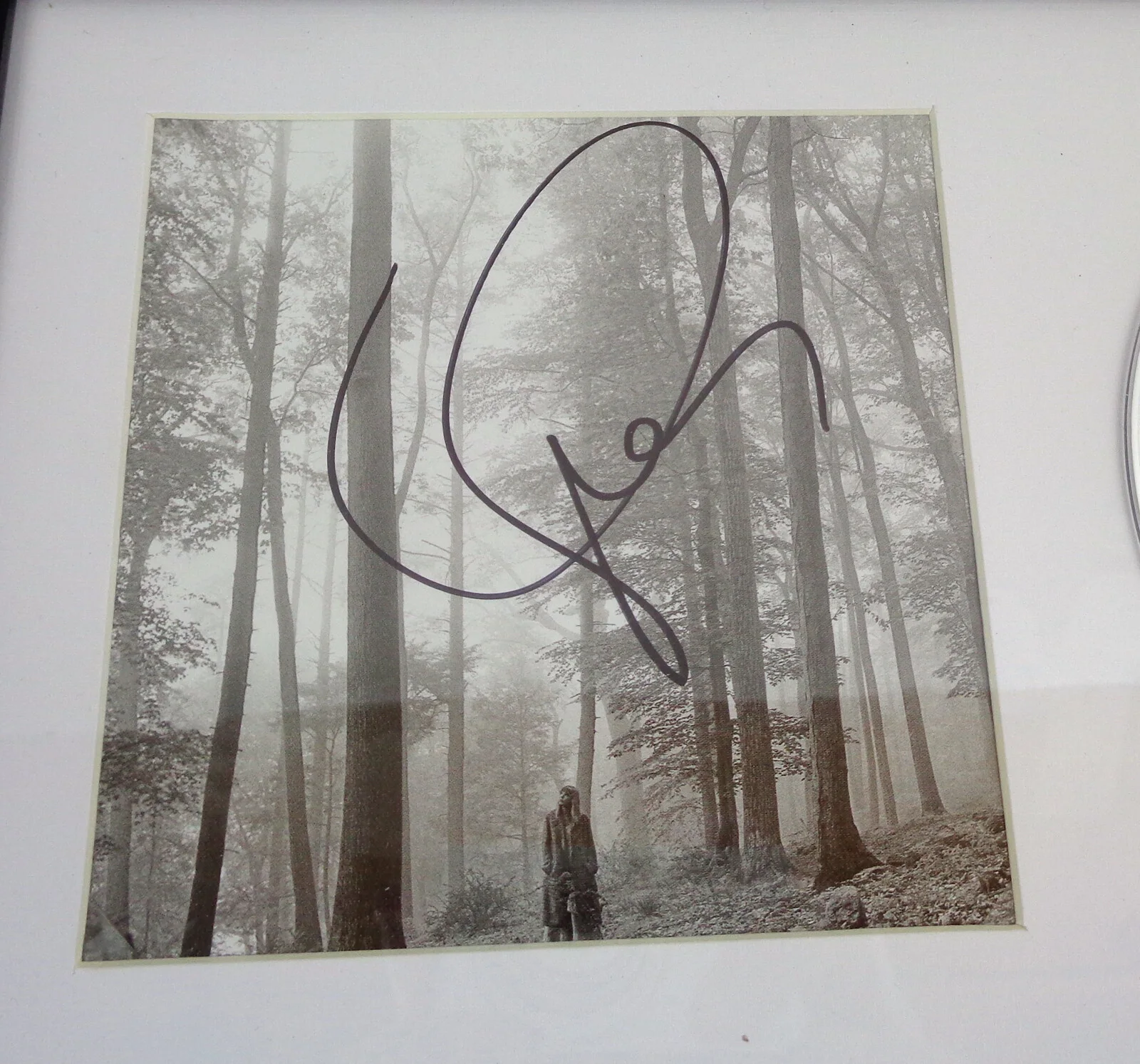Taylor Swift — Taylor Swift Cardigan Signed Autograph Folklore CD Framed PSA/DNA COA J, image 2