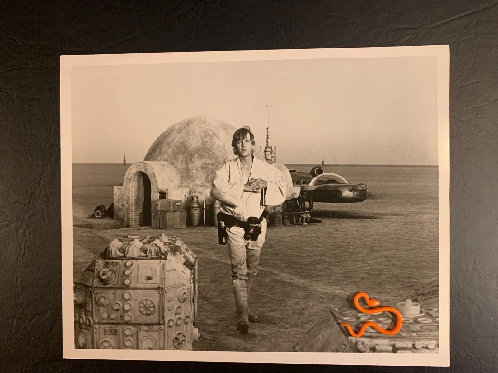 Star Wars Photo Lars Homestead Mark Hamill 8”x10” - Luke Skywalker 1976, изображение 3