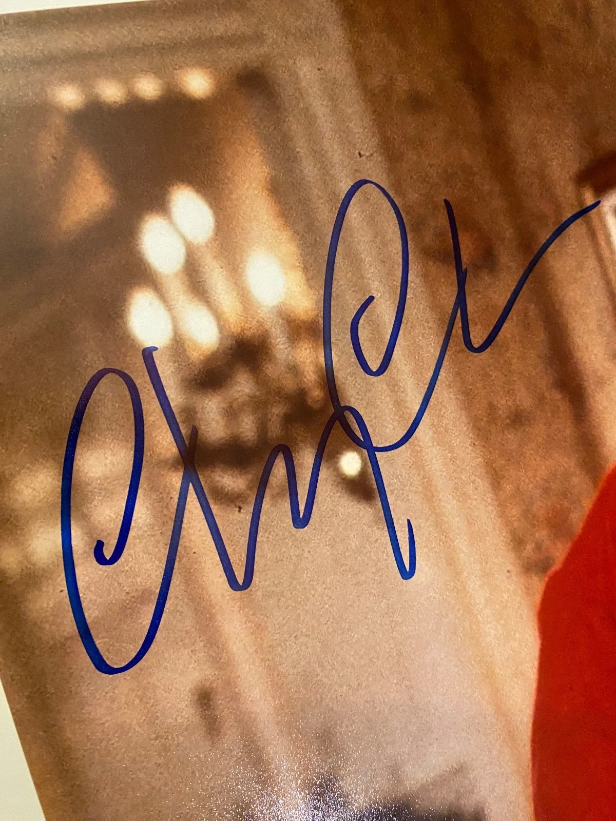 Chevy Chase — Chevy Chase Christmas Vacation Signed 16x20 Horizontal Tree Photo BAS Witnessed, image 2