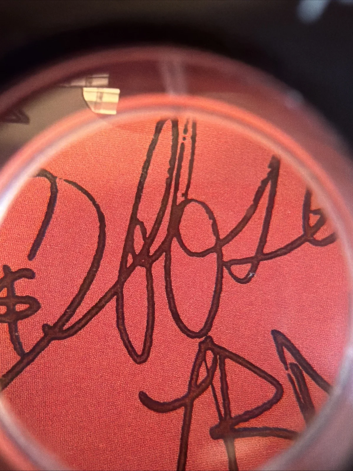 Migos Signed Culture II Poster Only, image 3