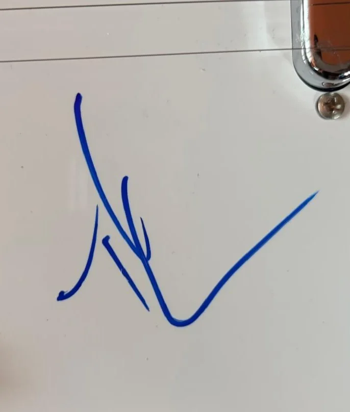 Tim McGraw — TIM MCGRAW SIGNED AUTOGRAPHED TELECASTER GUITAR LIVE LIKE YOU WERE DYING PSA, image 3