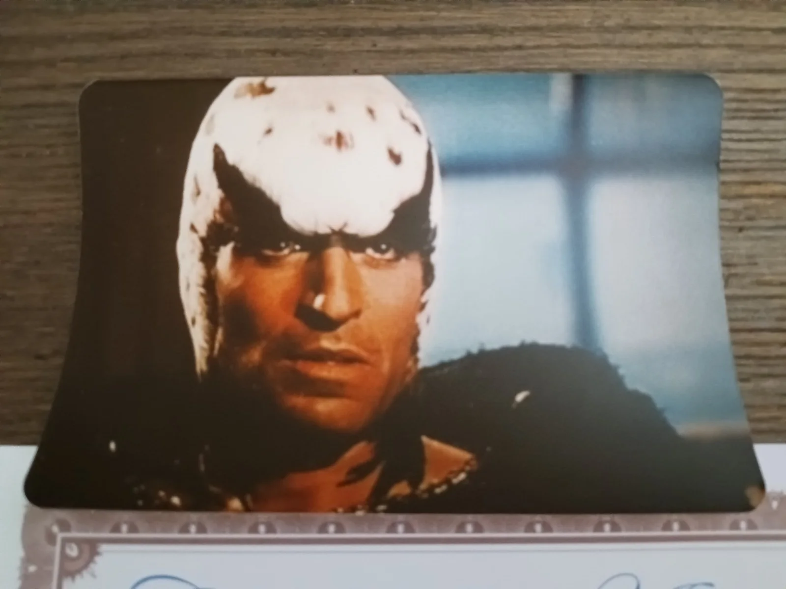 Thom Christopher — Thom Christopher 3.5 X 5 HAND SIGNED ON BACK Matte Color photo of " HAWK ' COA, изображение 2