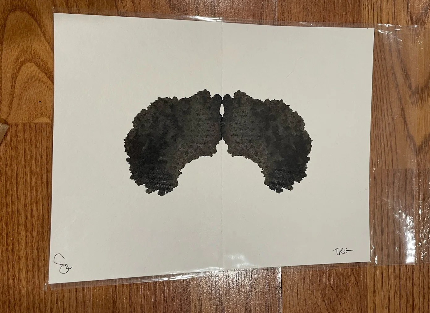 Tegan And Sara Quin Inkblot Original Art On In At Rorschach Test Sainthood 2009, image 2