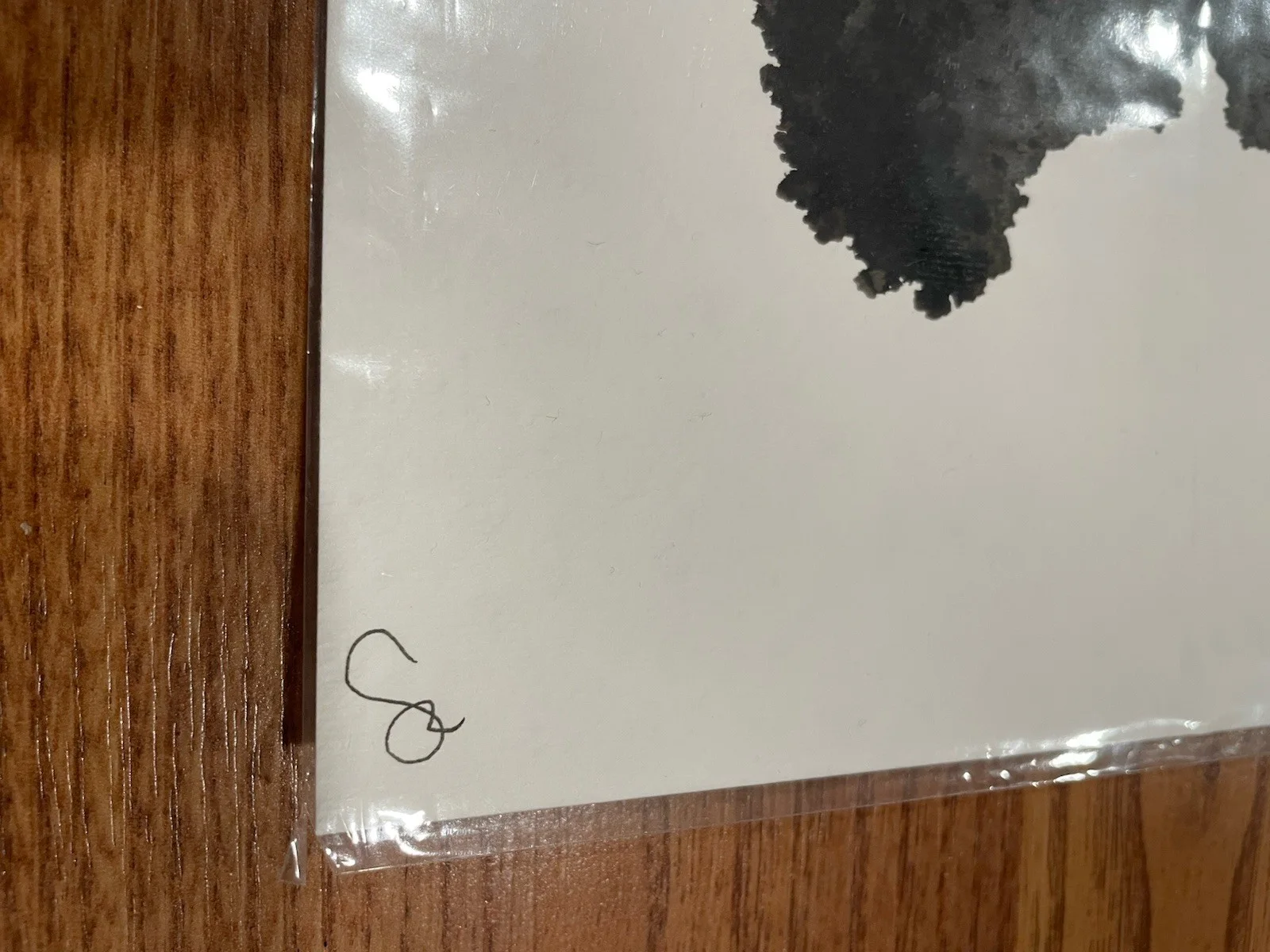 Tegan And Sara Quin Inkblot Original Art On In At Rorschach Test Sainthood 2009, image 4
