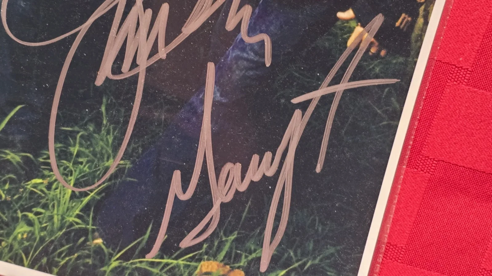Rascal Flatts Signed Photo Autographed w/ COA April’s Junque du Jour, image 2