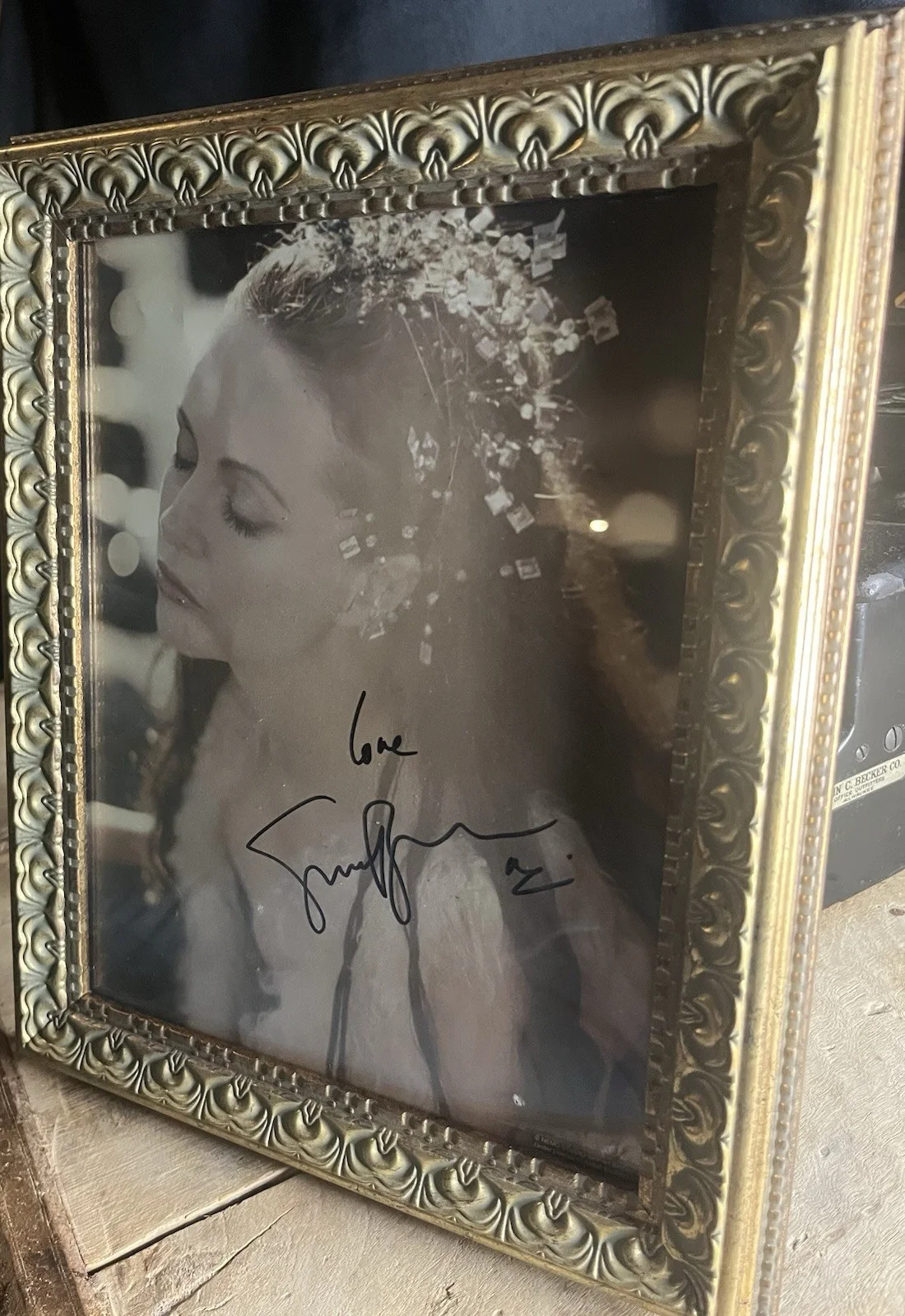 Sarah Brigham Autographed 8x10 Photo – Nemo Studios – Framed Vintage Collectible, изображение 3