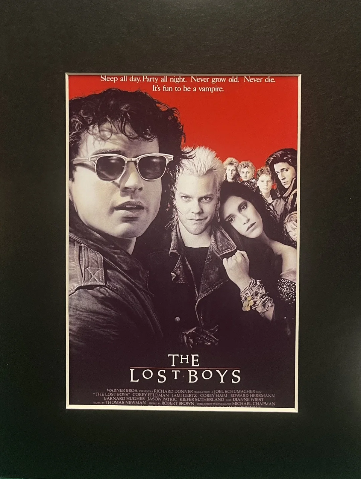 LOST BOYS. 35mm Film Cell MOUNTED Display, image 2