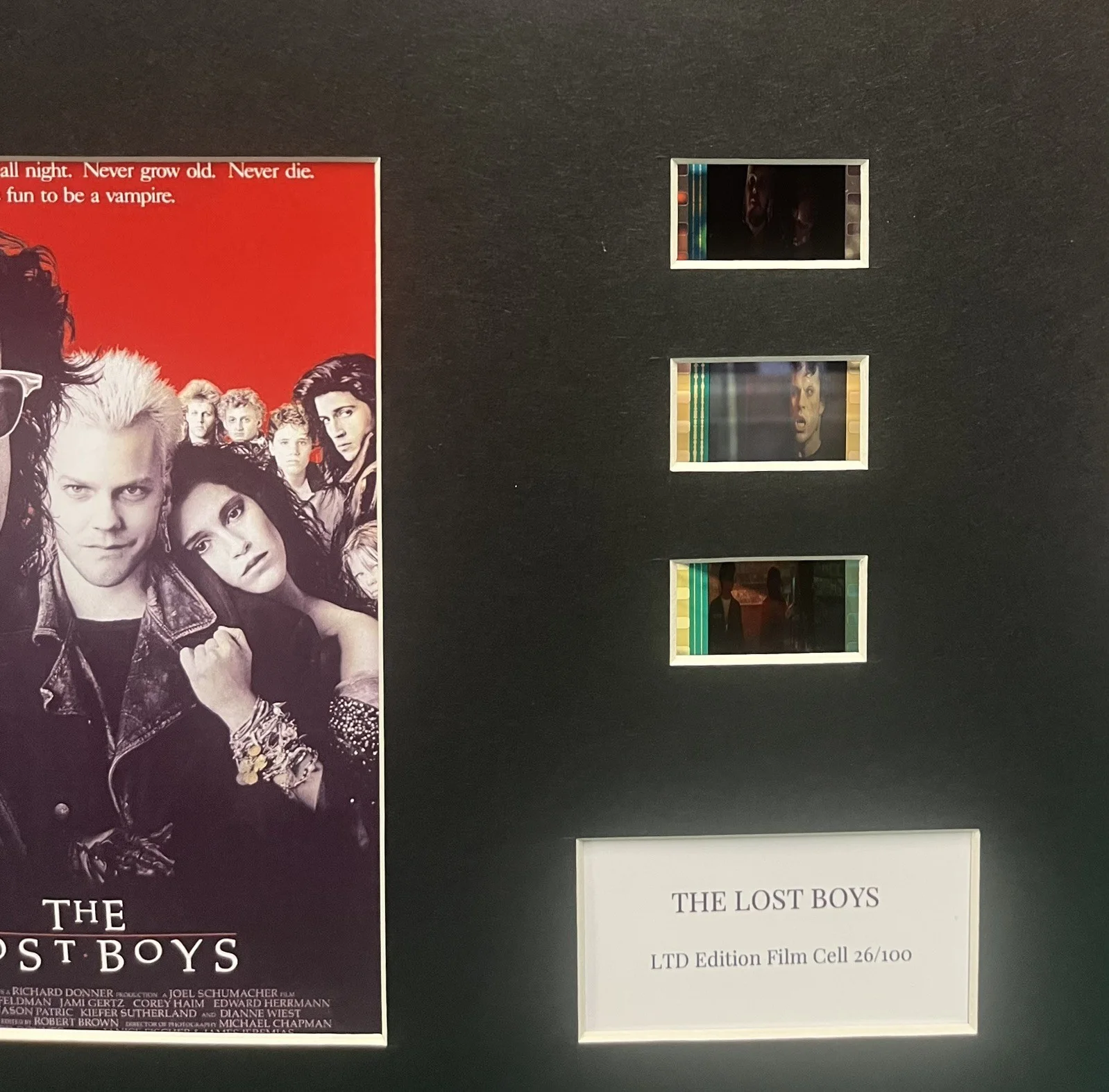 LOST BOYS. 35mm Film Cell MOUNTED Display, image 3