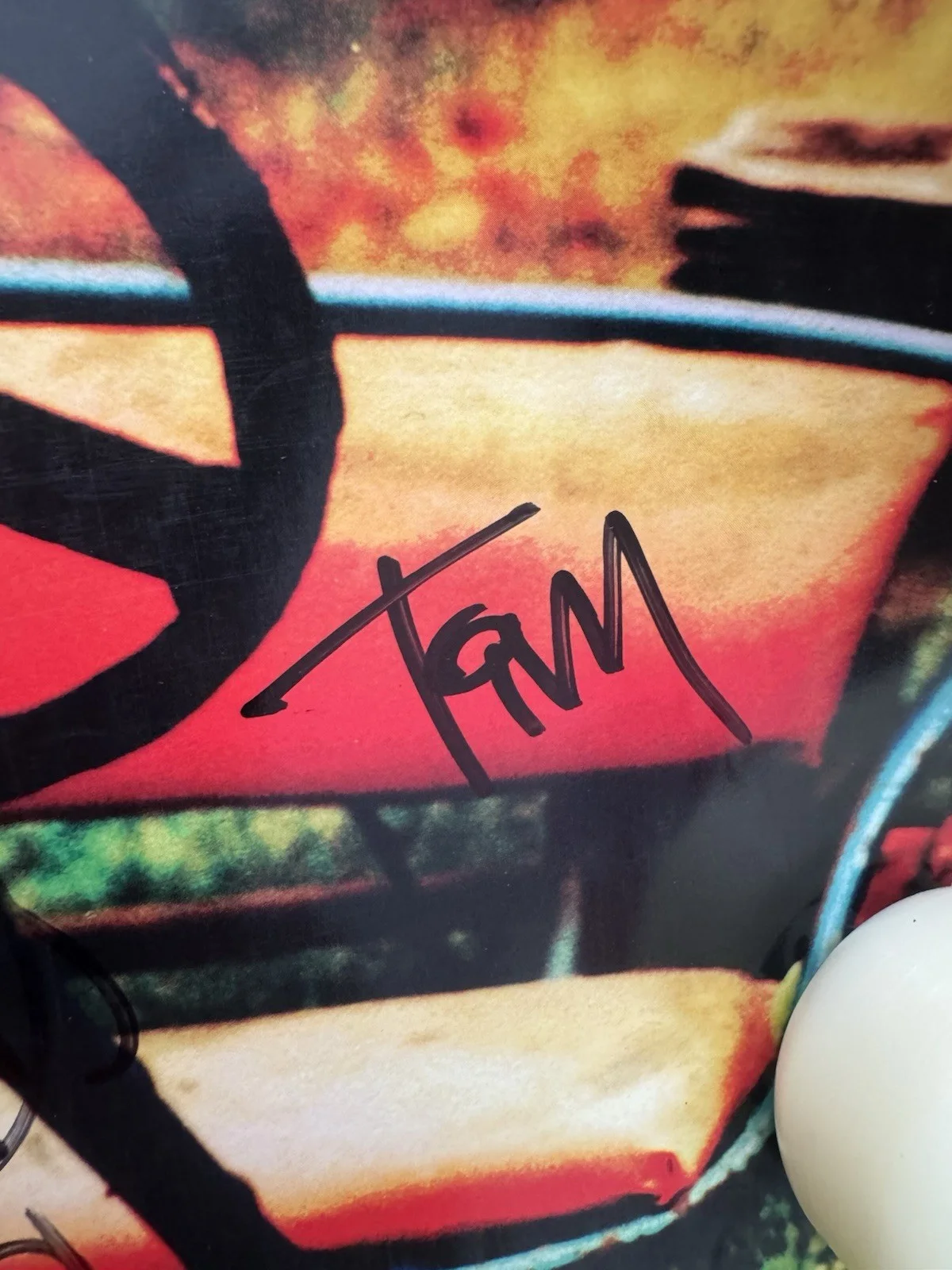 All American Rejects Signed X4 Autographed Promo Poster 1st Album Preorder Bonus, изображение 4