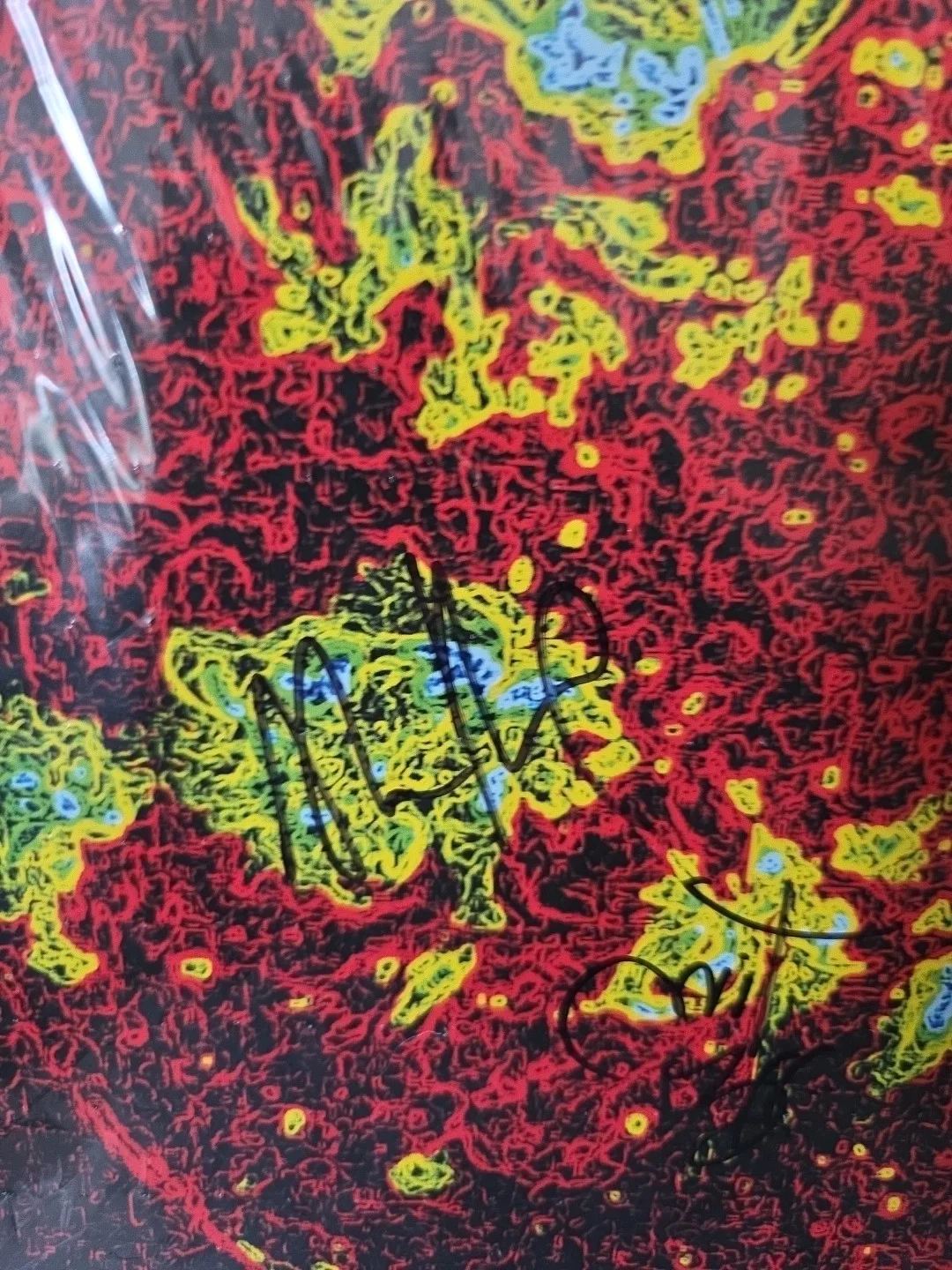 311 Autographed From Chaos Vinyl Record All 5 Amber I Will Always Love You, изображение 4