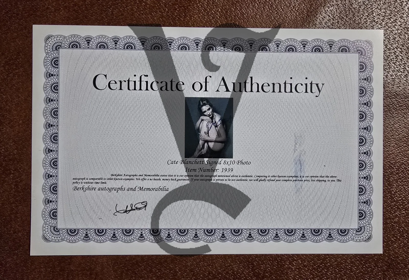 Cate Blanchett Signed Autographed 8x10 Photo Sexy (With Certificate), image 2