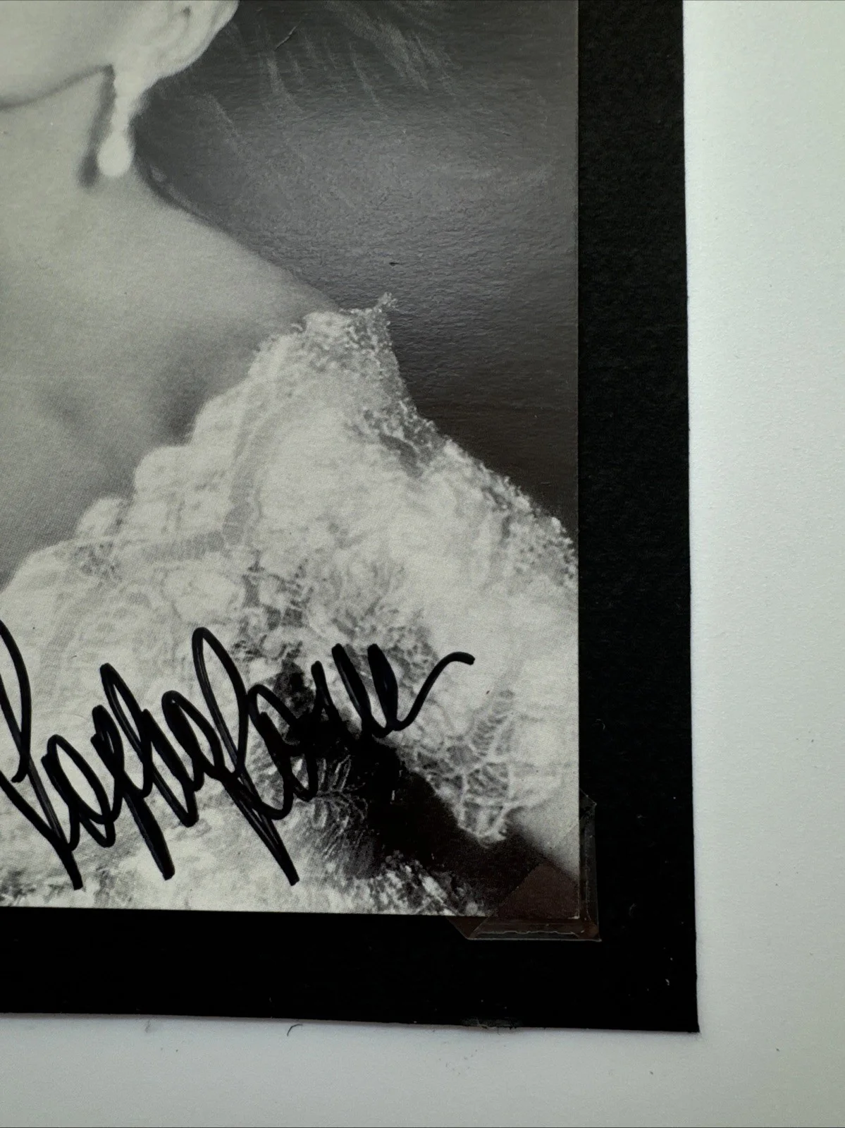 Sophia Loren — Sophia Loren Autographed Photo Actress, image 3