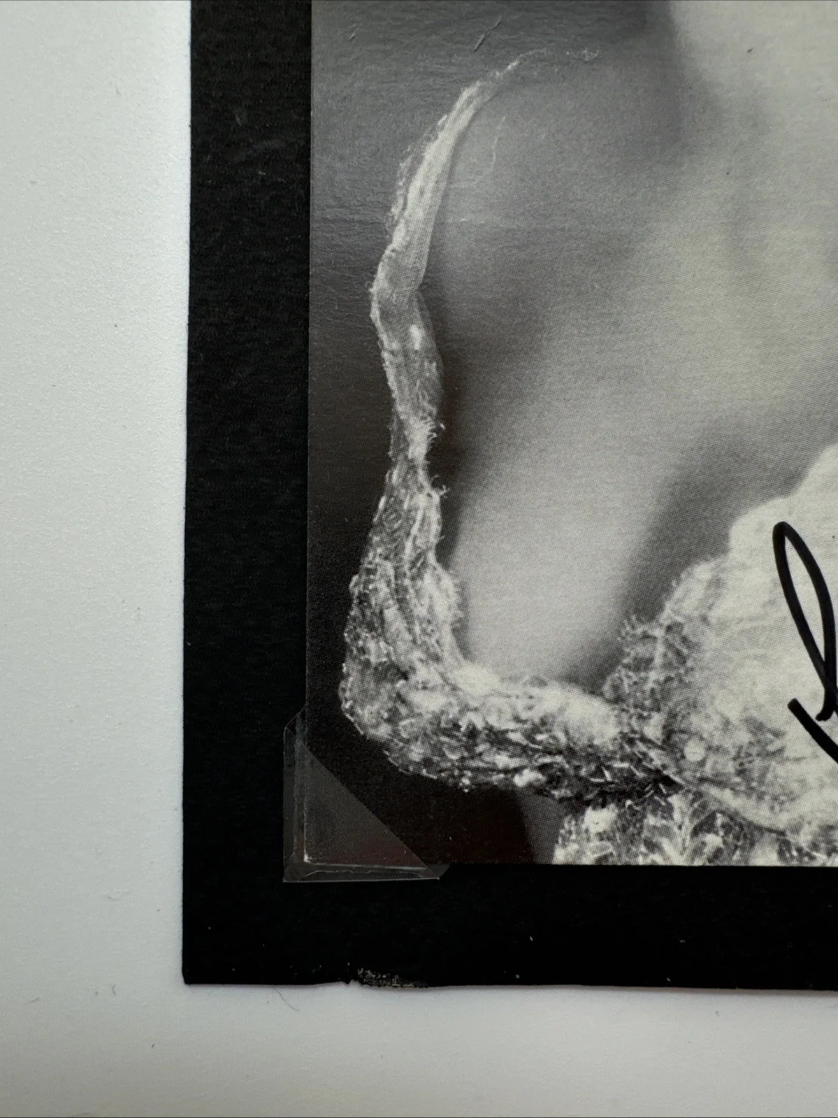 Sophia Loren — Sophia Loren Autographed Photo Actress, image 4