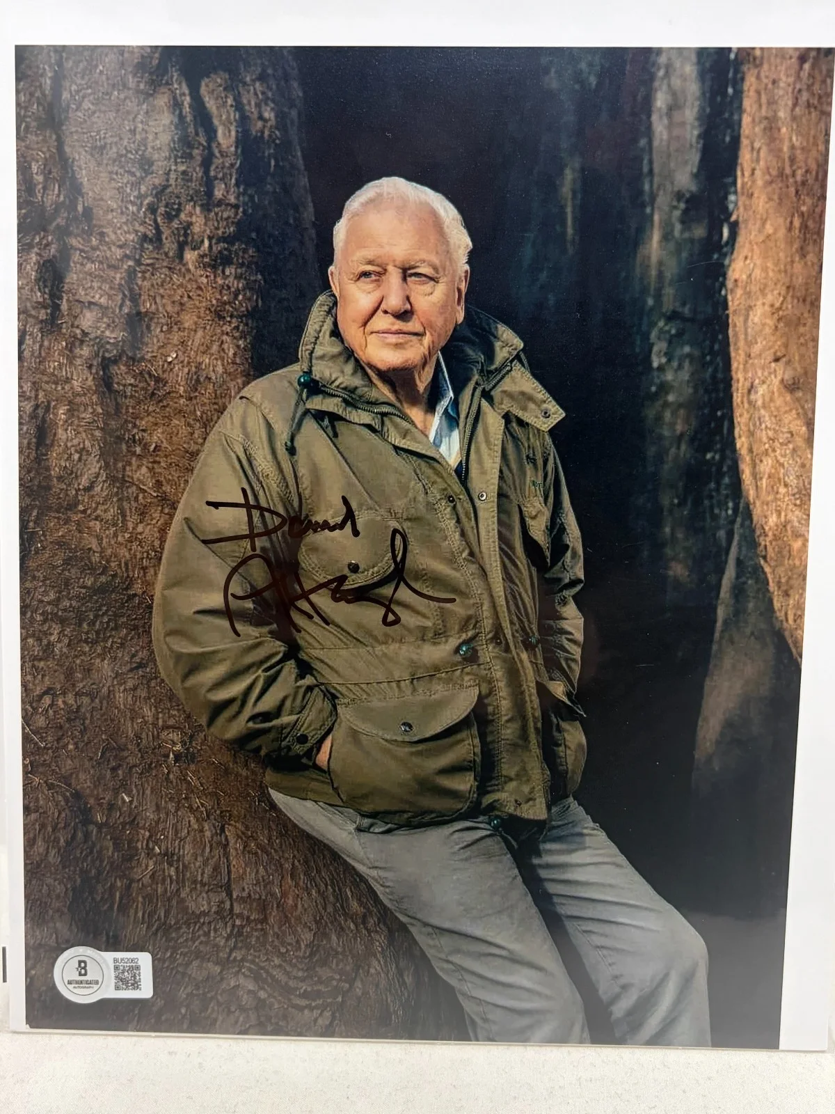 David Attenborough — David Attenborough Signed 8x10 Photo (Beckett)