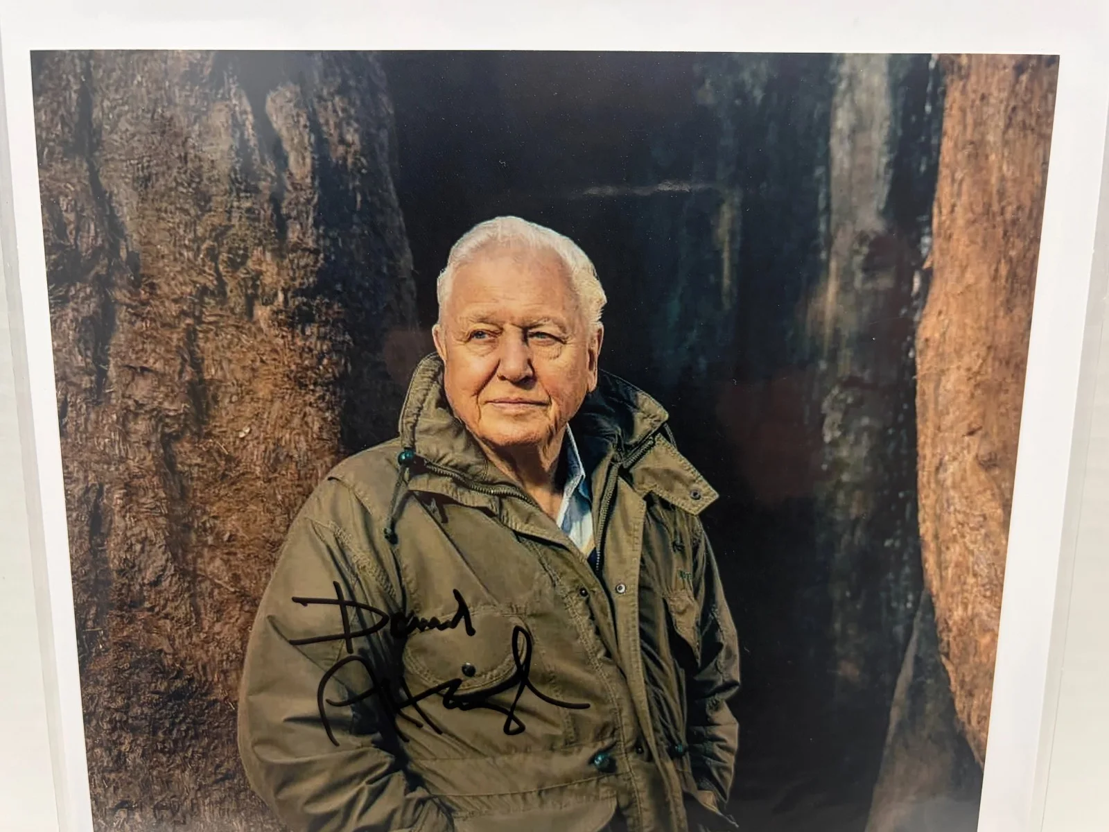 David Attenborough — David Attenborough Signed 8x10 Photo (Beckett), image 2