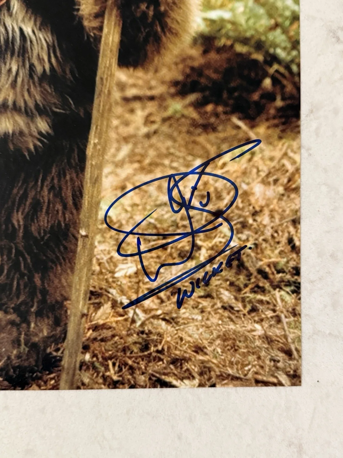 Warwick Davis Signed Wicket 11x14 Photo Star Wars Return Of The Jedi, изображение 2