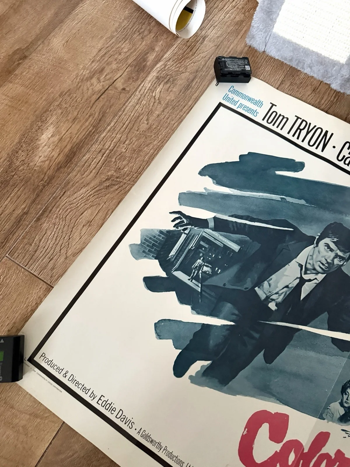 Color me dead 28 x 22 inch half sheet Cinema Poster, изображение 4
