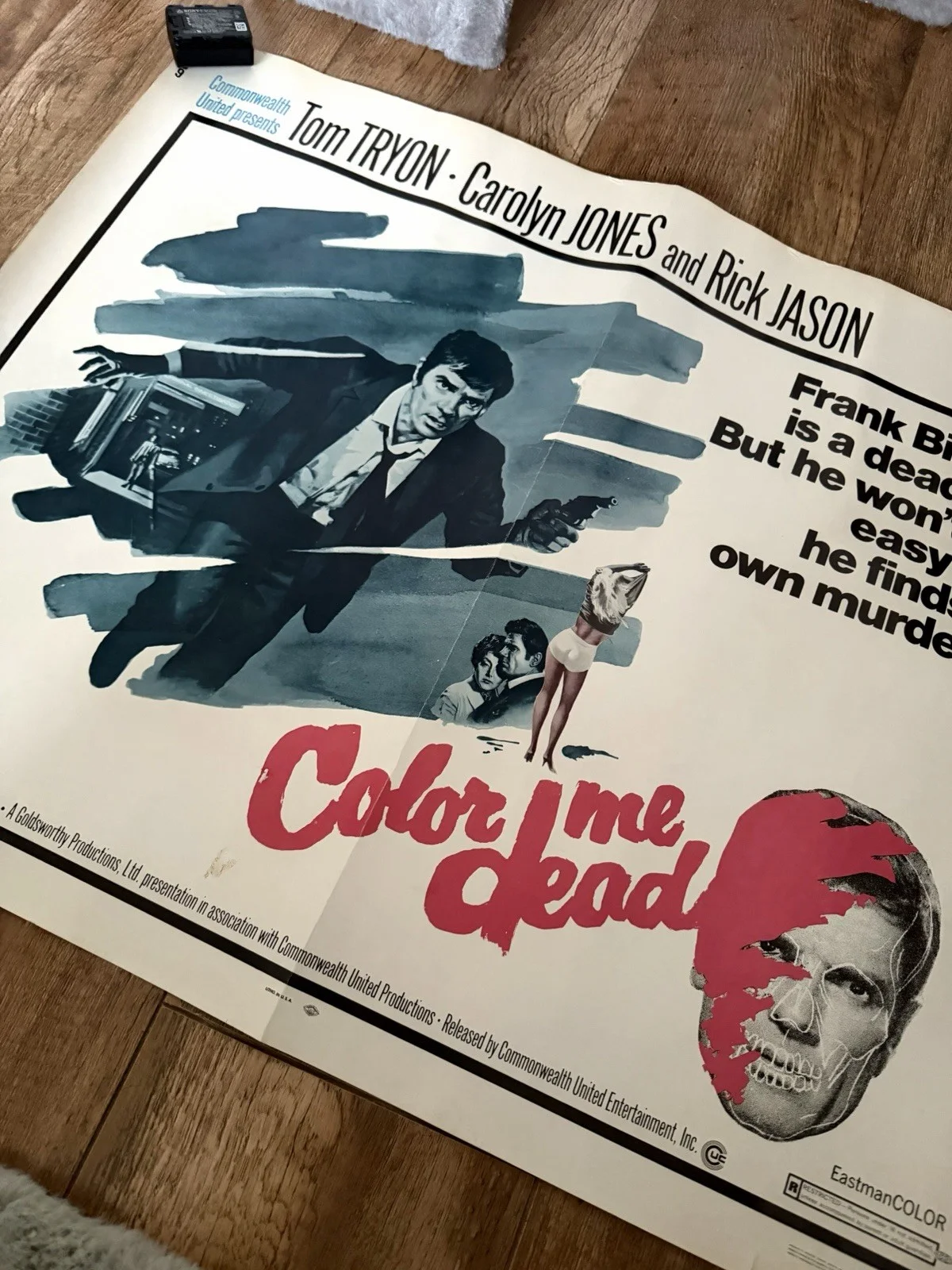 Color me dead 28 x 22 inch half sheet Cinema Poster, изображение 5