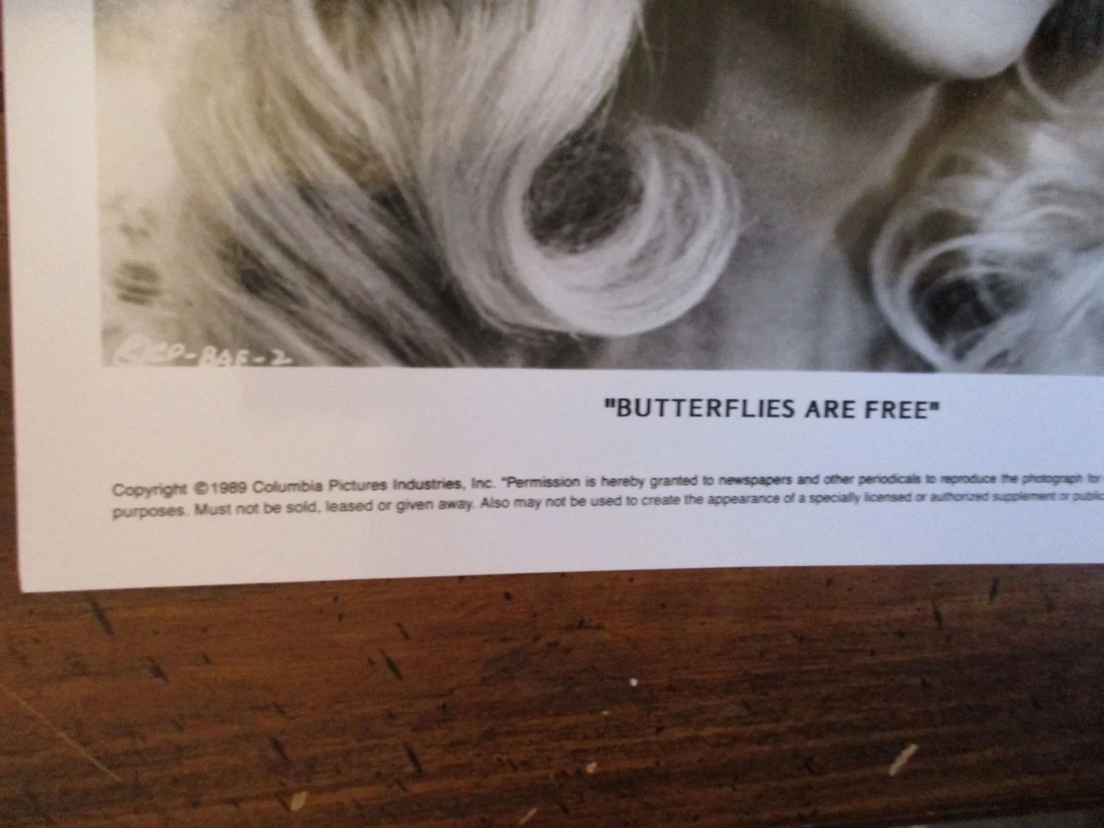 Goldie Hawn("BUTTERFLIES ARE FREE")8 x 10 1989 Glossy Black & White Press Photo, изображение 2