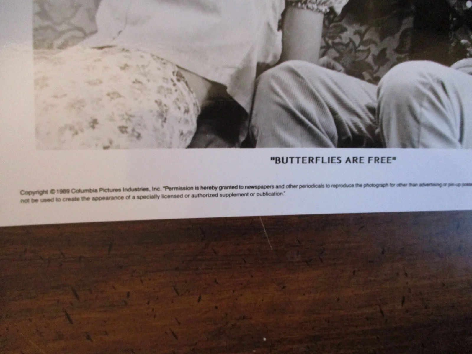 ("BUTTERFLIES ARE FREE")Edward Arnold/Goldie Hawn/1989 10 x 8 B & W Press Photo, изображение 2