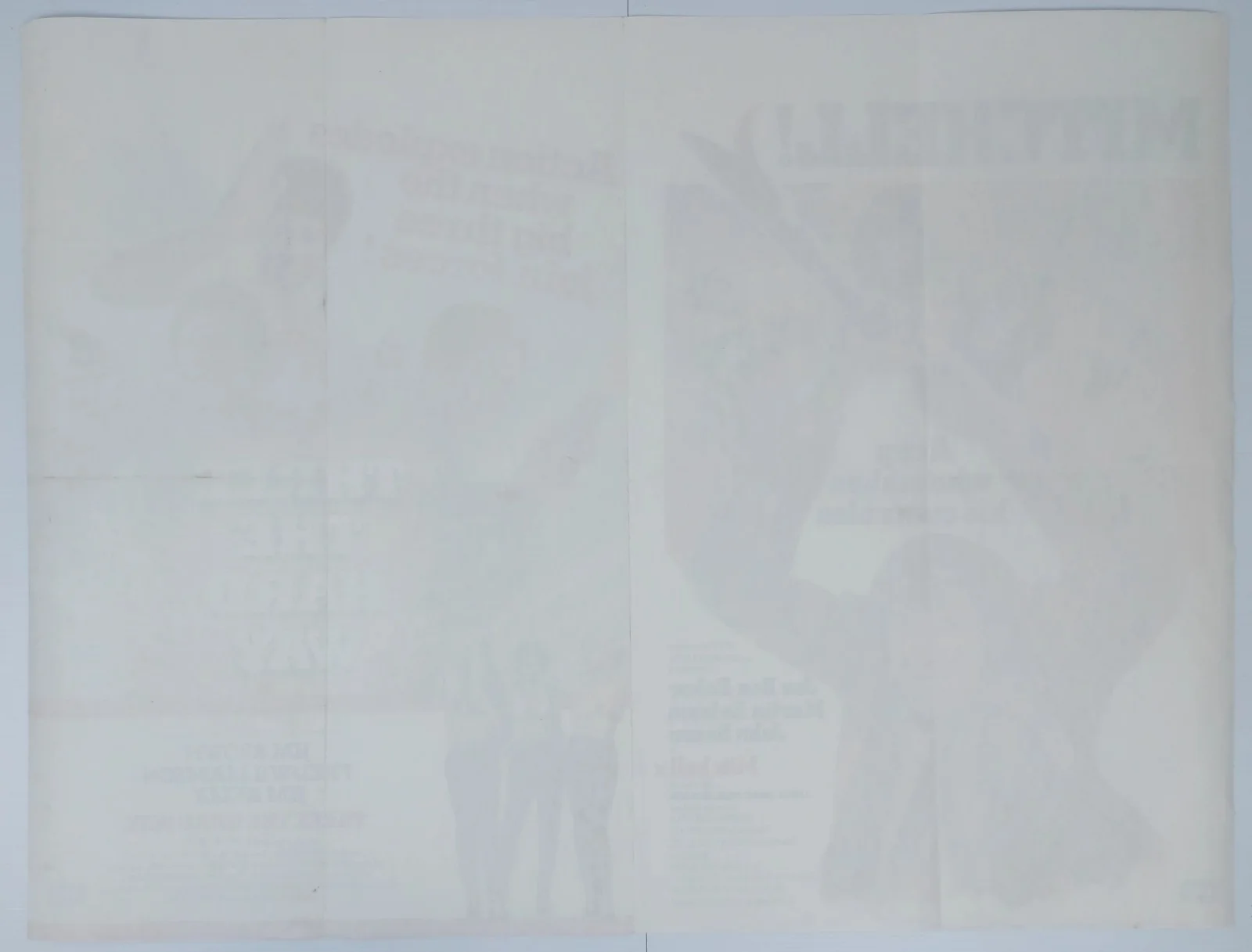 MITCHELL / THREE THE HARD WAY ORIGINAL UK QUAD DOUBLE BILL FILM POSTER 1975/74, изображение 2