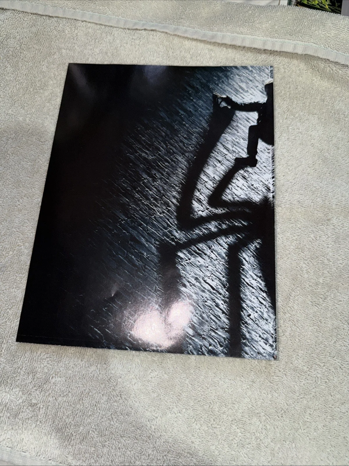 The Amazing Spider-Man/Pirates! Double Sided Poster Promotional, image 3