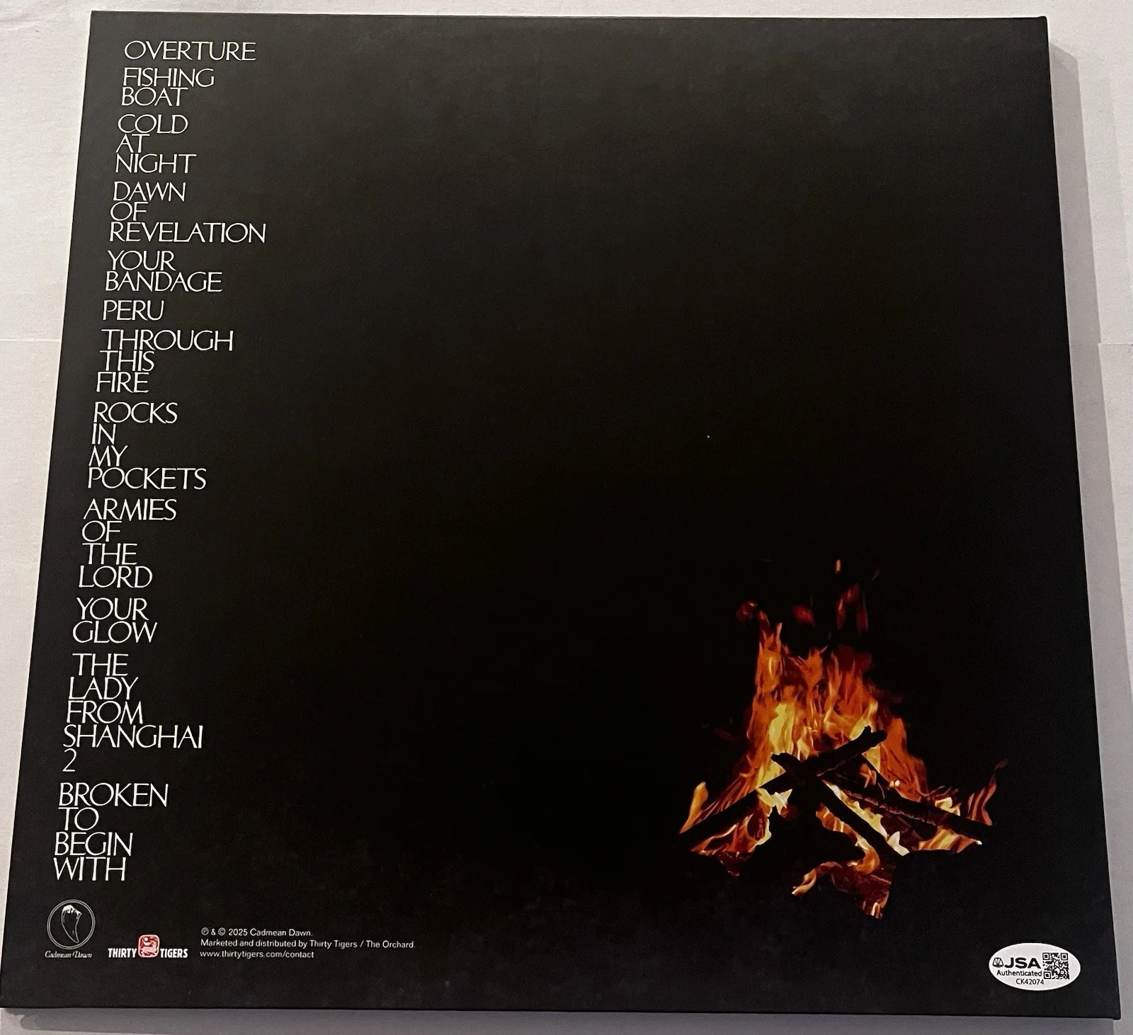 THE MOUNTAIN GOATS SIGNED THROUGH THIS FIRE ACROSS LP VINYL RECORD ALBUM JSA COA, image 4