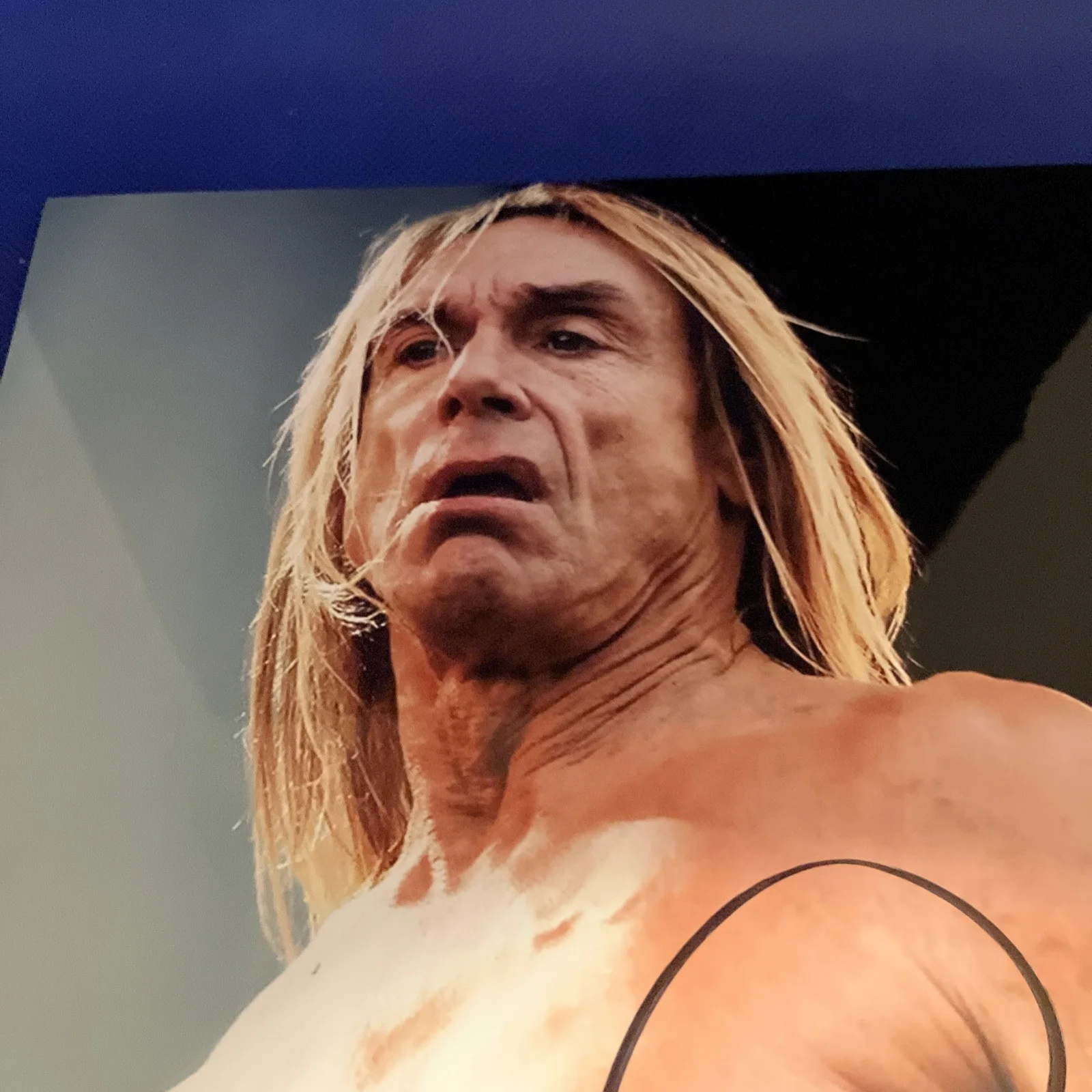 iggy pop signed 8x10 COA, image 2