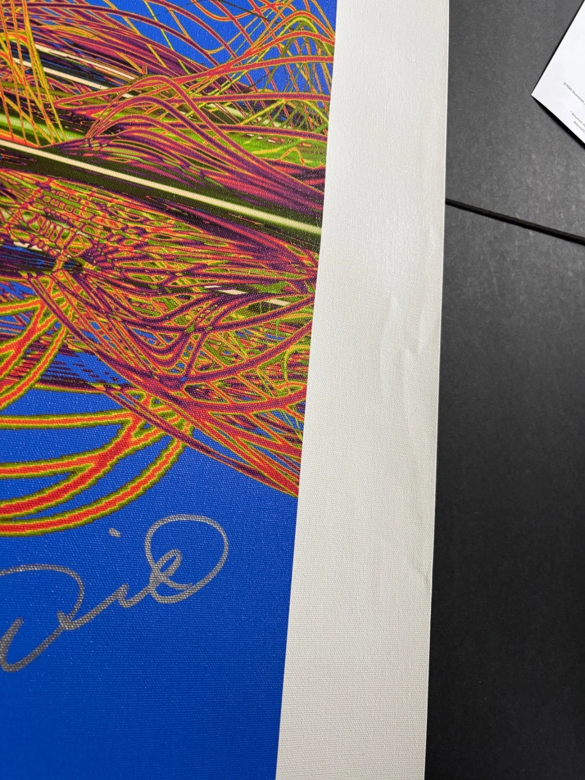 LARRY DAVID SIGNED CURB YOUR ENTHUSIASM 27X27 CANVAS SOUNDWAVES 100 SEINFELD BAS, изображение 3