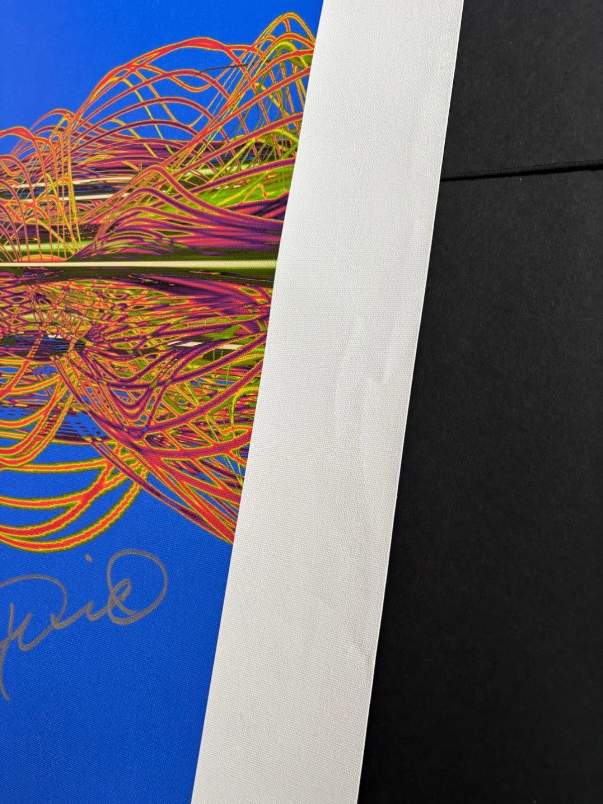LARRY DAVID SIGNED CURB YOUR ENTHUSIASM 27X27 CANVAS SOUNDWAVES 100 SEINFELD BAS, изображение 4