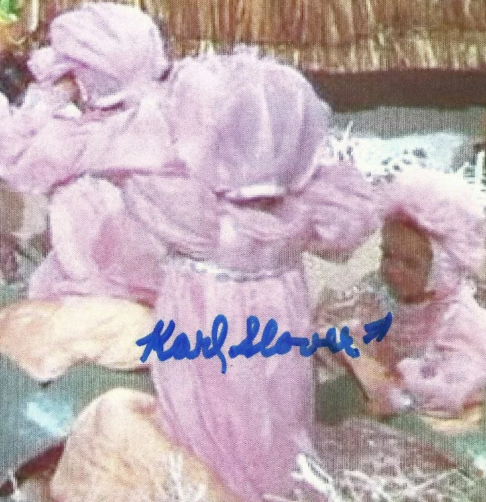 Karl Slover — Karl Slover autographed Picture Wizard of Oz Movie sleepyhead munchkin autograph, изображение 2