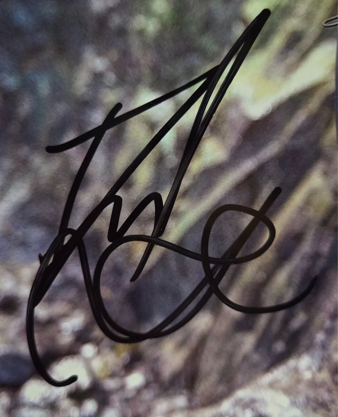 Daniel Radcliffe Hand Signed Autograph 8x10 Photo In Person Harry Potter Actor, image 2